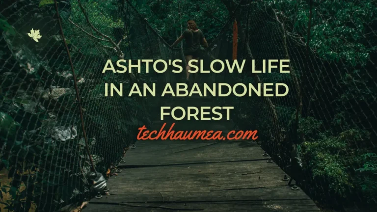 Ashtos Slow Life in an Abandoned Forest