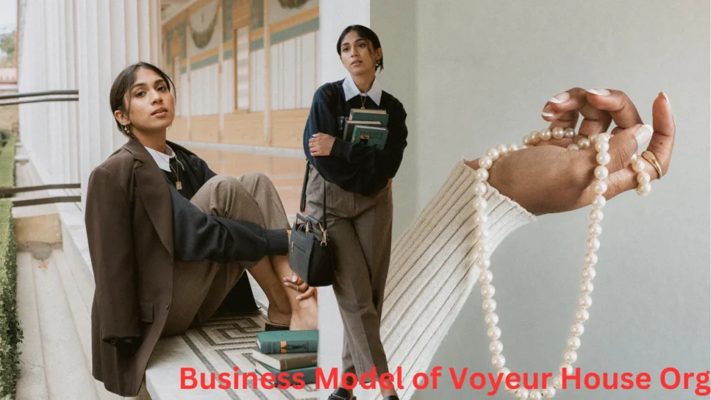 Business Model of Voyeur House Org