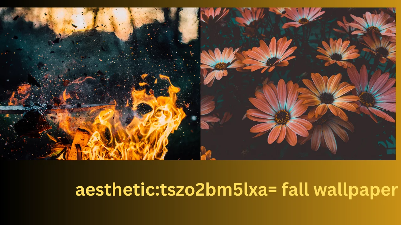 aesthetic:tszo2bm5lxa= fall wallpaper