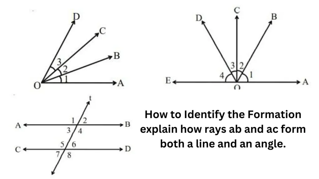 How to Identify the Formation explain how rays ab and ac form both a line and an angle.