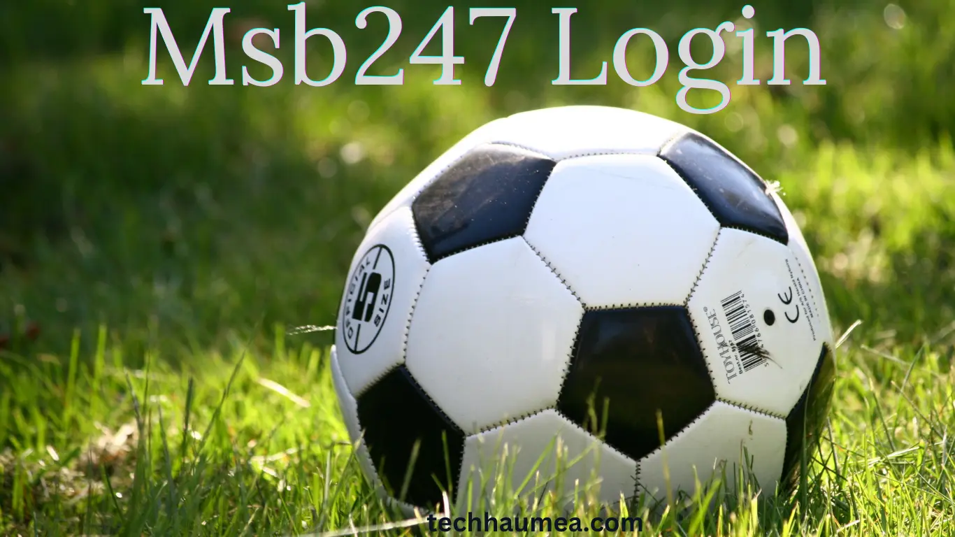 Msb247 Login