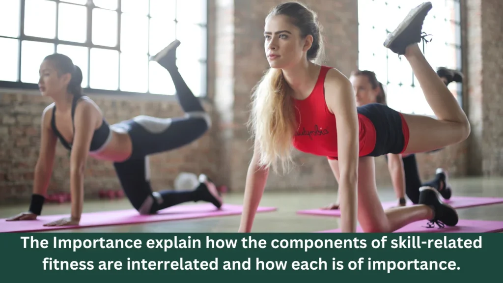 The Importance explain how the components of skill-related fitness are interrelated and how each is of importance.