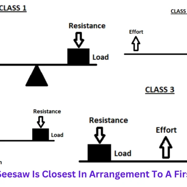 explain why a seesaw is closest in arrangement to a first class lever.