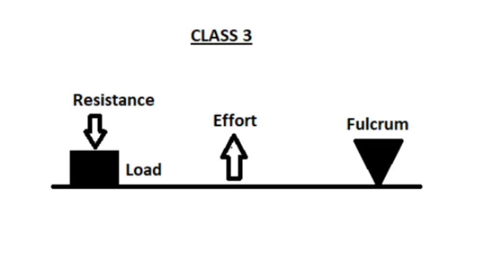 explain why a seesaw is closest in arrangement to a first class lever.3rd class
