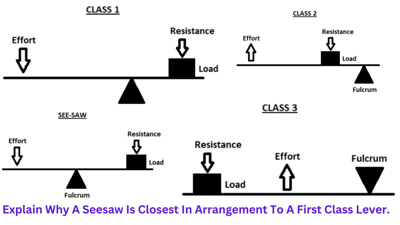 explain why a seesaw is closest in arrangement to a first class lever.