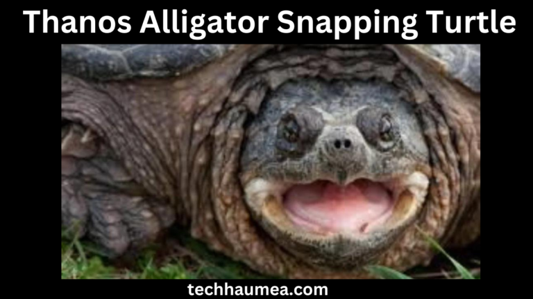 thanos alligator snapping turtle