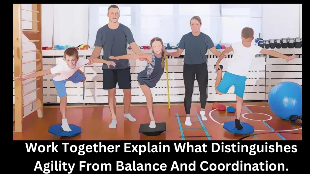 Work Together Explain What Distinguishes Agility From Balance And Coordination.